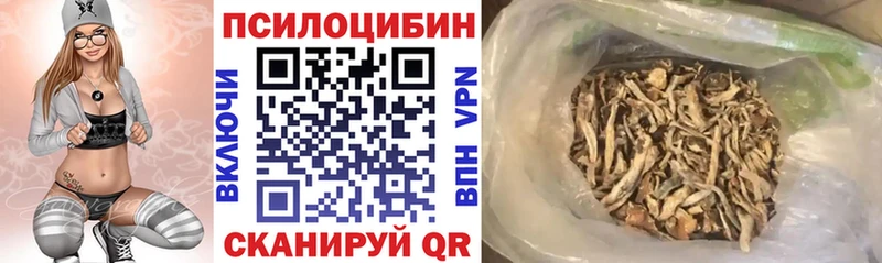 даркнет сайт  Ачхой-Мартан  Галлюциногенные грибы прущие грибы 